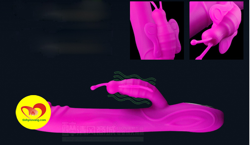 duong-vat-gia-rung-nhanh-pretty-love-butterfly-3